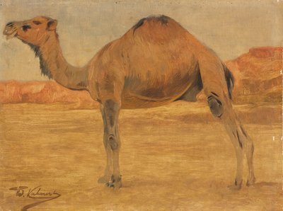 Dromedary by Wilhelm Kuhnert